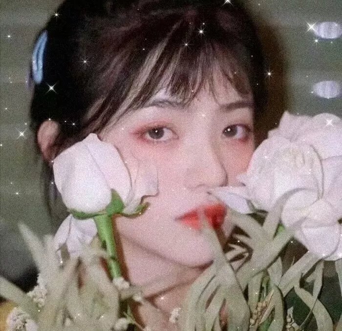 盗贼泰瑞莎